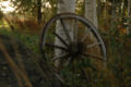 Pienoiskuva 1. kesäkuuta 2009 kello 20.51 tallennetusta versiosta