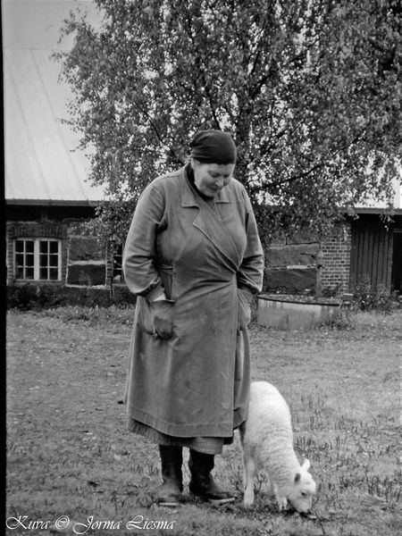 Tiedosto:Varvara ja lammas lin jl.jpg